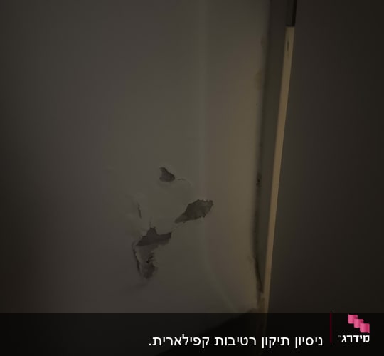 קיר עם קילוף צבע ופגמים